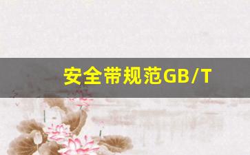 安全带规范GB/T 3600-2010,GB T